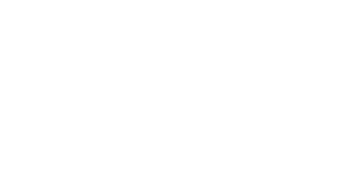 Logo Cyber Busters